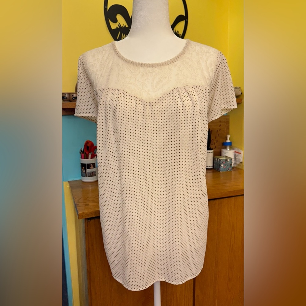 Perch Short-Sleeve Blouse with Lace Neckline
